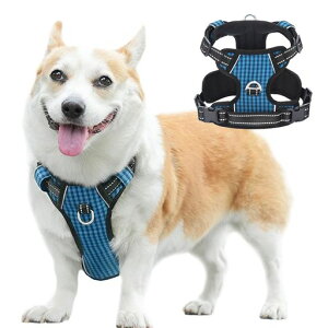 Paipeperpn[lXhbOEGAp֋ď^n[lX^n[lX^n[lXԔ˂ph~U\ȒP(_[Nu[XS)