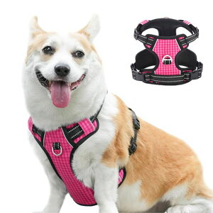 Paipeperpn[lXhbOEGAp֋ď^n[lX^n[lX^n[lXԔ˂ph~U\ȒP([XbhS)