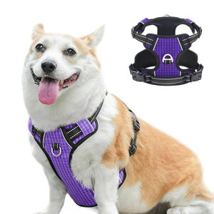 Paipeperpn[lXhbOEGAp֋ď^n[lX^n[lX^n[lXԔ˂ph~U\ȒP(p[vS)