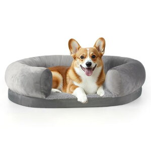 Peto-RaifupxbhxbhybgxbhJo[􂦂ybgpNbṼxbh\t@[EhH~p􂦂鏬^^^~ߘV쏰h~ӂӂ퍂c