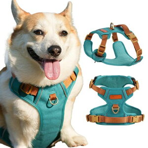 Paipepern[lX^p^p^ph~Ԕ˂p\ȒPꂨUu[SS