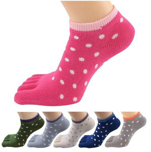 [WIOIW]5{w\bNXV[g\bNXfB[XCX|[cԂz6FZbg