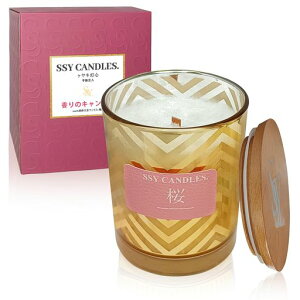 A}LhlCLhLh؂̐cW[Lhv[gjԂejoLOi(#27-)