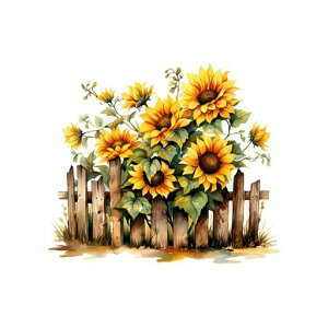 HOTIYOKEH[XebJ[Ԃ̐AԂ̒It[K[fϗtAAEH[V[tFXЂ܂XebJ[ǎǃV[j̎q̎qQrO[ǑEc