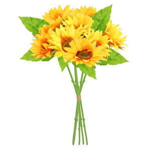 koundenekoЂ܂葢10{q}u[Pԉԑ͂ȂԃTt[Ă̑ajv[gJtFiXe[uZ^[s[XCeAʐ^Bepc