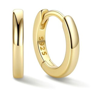 [ChicSilver]t[vsAXfB[XS[hOsAXY18a12mm20gVvANZT[