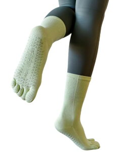 [TOPIKE]seBXCK\bNXyCXgN^[Ez5{w~߃\bNXȕۉh΍RۏLKC7F22.5cm~25cmX|[cEFAg[jOX|[c(Green)