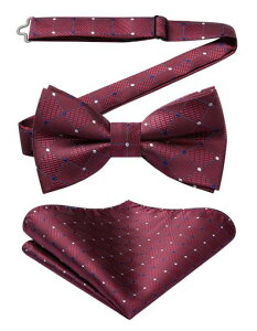 [HISDERN]lN^CY^b`{E^C-`bNhbgCbhu[tH[}`FbN`[tZbgȒPE߉\bowtieBC1211VBR-02