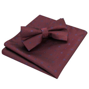 [HISDERN]lN^CY^b`{E^C-􉽕hbgCbhu[tH[}`[tZbgȒPE߉\bowtieBG1196U1BR-02