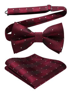 [HISDERN]lN^CYlԃ^b``[tZbgʃhbg{E^CrWlXuh^LV[h畞jVYBR-02