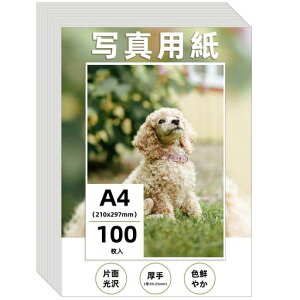 Wtrgasʐ^pA4210x297mm򎆃tHgp0.25mm100