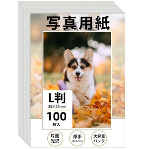 Wtrgasʐ^pLTCY89x127mm򎆃tHgp0.25mm100