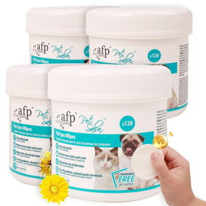 AllForPawsybgpڂɂƂV[g480܂₯PAV[gEFbgeBbVEFbgV[gr߂ĂS(ypbNz4)