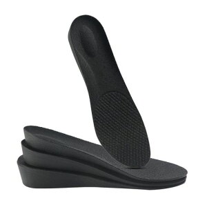 C\[gAbvV[Nbg~ՌzʋCLr1g(2025)