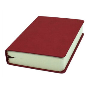 ̃XPb`ubN660y[Wm[g\tgtFCNU[Jo[W[i80gsmh[COXPb`L(A6)