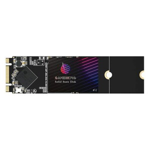 GamerKingM.22280SSD1TB6Gb/sNGFF^SolidStateDriven[hhCu\n[hhCum[g/p\R/fXNgbvKp\bhXe[ghCu3NۏSSD64GB120GB