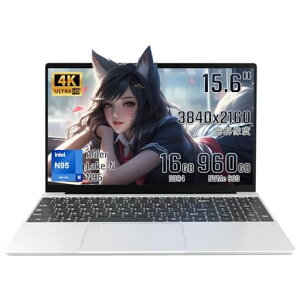 p\Rm[g4Kt(3840x2160)15.6C`CeN95^yʃm[gpcWindows11/16GBDDR4NVMeSSD/wF/webJ/m[gp\R