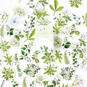 Alideco92uht[NXebJ[V[R[Wfރy[p[fގg킢ԁAAC`SAʕPETϐ؍V[pm[gfށALpi(zhizhihuakai)