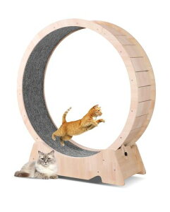 LbgzC[L̎ԗ֔LzC[XL105CMa^LzC[L[i[L񂵎ԔL܂ƂL̉^sPᑛgݗĊȒP{