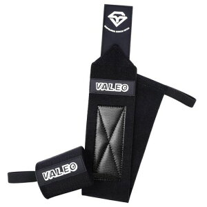 Xgbv؃gEGCgg[jOjpŒx`vXŎ̕ی͂ɌʓIXgoh؃gubN