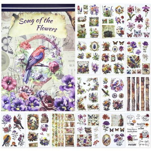 NOTIONSLANDV[XebJ[sAXebJ[킢ꏗ̎qPETV[Lpi20V[g(p[v)