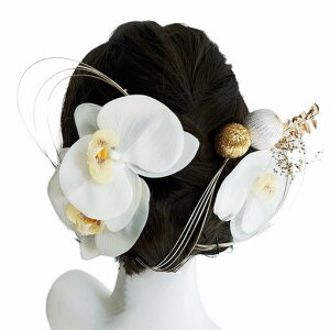 [lalabeauty]Ӓ萬laCawAANZT[Us܂ݍ׍HUƎԉŎ܎OwbhhXOBaʐԉőƎac