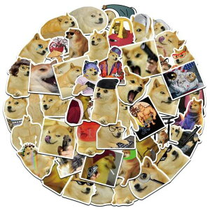 ʔXebJ[V[gXebJ[蒠XebJ[NtgSfސlAoDIY̏50Zbg