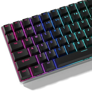 �L�[�L���b�vWomier���J�j�J���L�[�{�[�h�p�A���߃L�[�L���b�vPBT�_�u���V���b�g�A60%�E75%�E100%�Ή��`�F���[�E�K�e����MX�X�C�b�`�p�A�u���b�N