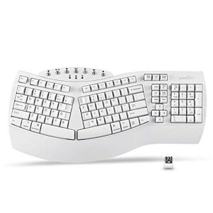 Perixx(�y���b�N�X) PERIBOARD-612W �G���S�m�~�N�X�L�[�{�[�h ���C�����X Bluetooth/2.4GHz�l�ԍH�w ���� Windows10/MacOSX�Ή��y���K�ۏؕi�z �p��z�� (���C�����X�E�z���C�g)