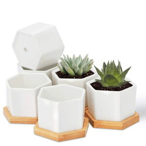 FaceColorZp`AؔA픫T{eϗtA|bgtϗtA~jAKpACeAx_CeCAItBXMtgKp󂯎MtZ~bNzCg4c