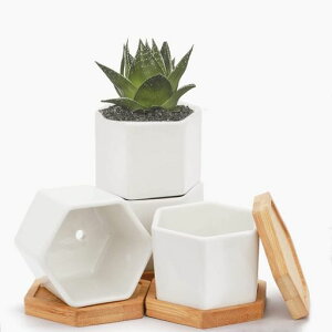 FaceColorZp`AؔA픫T{eϗtA|bgtϗtA~jAKpACeAx_CeCAItBXMtgKp󂯎MtZ~bNzCg4c