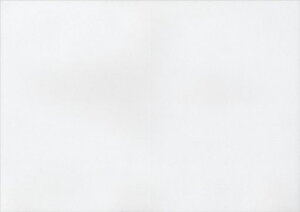 ptbgp2c܂̐܂ړv^[p㎿110kg(A3100)