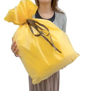 bsOܑܑtXgW550xH650mm(F)CG[{iς݂ňSiv[gMtg傫TCY{tNX}XnEBa