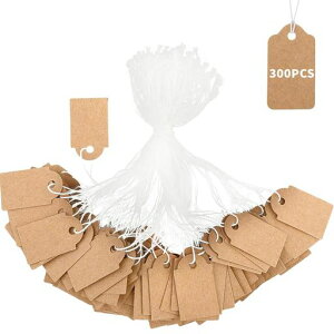 DELUXEFOXlDNtg^Oy300ZbgzPJ[hi^Otߗޕ΃ANZT[WG[rvp(uE)