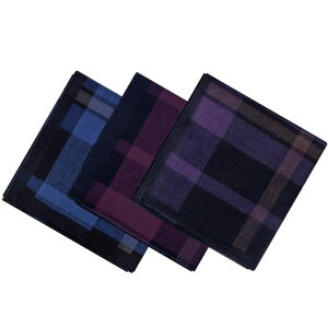 [SLASHJP]nJ`YIׂV100%amrWlX}nJ`͂񂩂̓Mtgʋ΃rWlX43*43唻Handkerchief3/6ZbgMtg{bNXt(ZbgB)