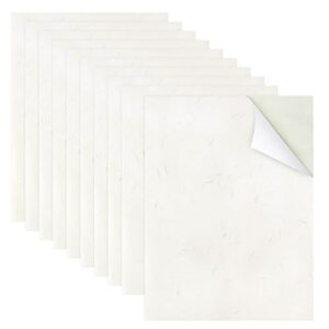 001ãV[(D)yA4TCYzCNWFbgvgΉXebJ[AxAIWiV[̐Ɂy10z