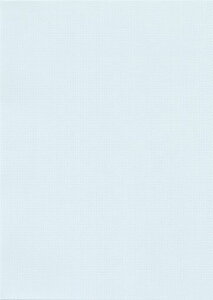 ~Vړp:A4Cgu[n͗l55kg2/}CN~V(Cgu[n͗l2)500