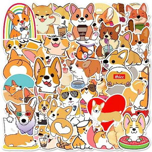 XUZOO킢R[WV[XebJ[˂t[NV[ZbglCfR[VV[LN^[fUCy[p[R[WfރWNW[iAoJc