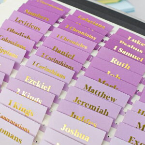 VANRÃ^upW[iOpiCfbNX^u96pėp\󔒂̔S^utl//̎qւ̃Mtg()