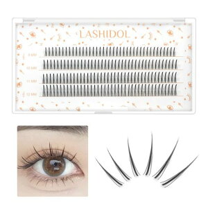 LASHIDOL܂}cGNZti`lCDIY܂ъȒP9~12mm()(A^܂ZbgubN)