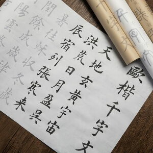 ʌop玚⽂Ȃ菑ʌo傫KѕMS1玚11[g̒(⽐玚)
