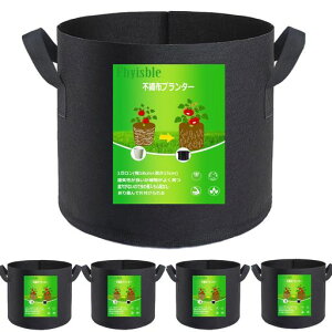 sDzv^[͔|ܕzAؔsDz|bg3K1025cmx24cm810bgyƒ؉؍͔|ܕzܕz(3K10)