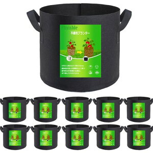 sDzv^[͔|ܕzAؔsDz|bg3K1025cmx24cm810bgyƒ؉؍͔|ܕzܕz(3K10)