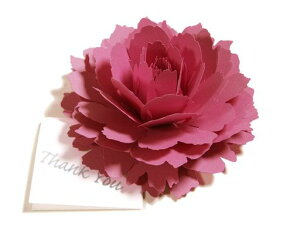 qsN-sIj[r炭悤ɂЂ炭Ԃ̃TL[J[hforo[Xf[J[hEEFfBOEAjo[T[EwEƁE̓EjENX}XJ[hEO[eBOJc