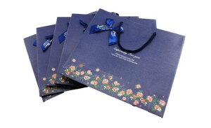 naissanty}WbNe[vtz܉ԕlCr[5Zbg(L)