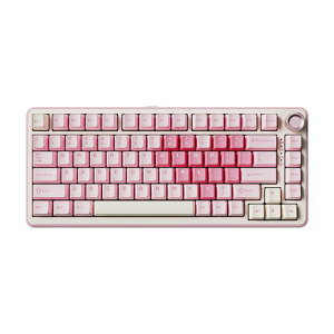 YUNZIIB75PRO75%�K�X�P�b�g�Q�[�~���O�L�[�{�[�h�������J�j�J���L�[�{�[�hBT/2.4G/�L�����C�����X�z�b�g�X���b�v����RGB�m�u�t���J�X�^���L�[�{�[�hMac/Win�p�Z�K�F�؎擾(�s���N�~���NV2�X�C�b�c