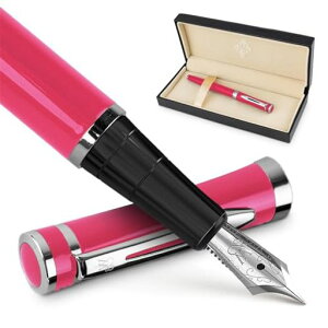 Wordsworth&BlackFountainPenSetMediumNibIncludes6InkCartridgesandInkRefillConverterGiftCaseJournaling