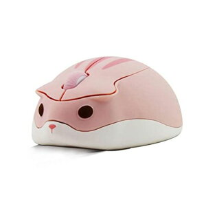 CX}EX2.4GHznX^[̌`킢fUCMTCYÉdrUSB}EXyʏqpLN^[}EXPC/m[gp\R/MacbookɑΉ(sN)