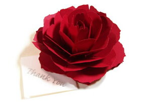 炭悤ɂЂ炭Ԃ̃TL[J[hforo[Xf[J[hEEFfBOEAjo[T[EwEƁE̓ENX}XJ[hEO[eBOJ[h(1bh[Y)