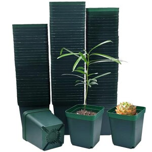 RooTrimmerc|bg8cm100萳`c|bgAAؔvX`bNAAv펪|bgAcp||bg_[NO[